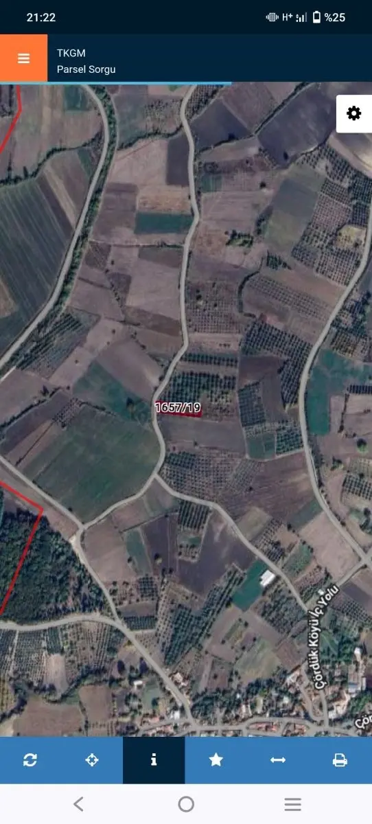 Bursa Mustafa Kemal Paşa Çördük Köyün De 1400 M2 Bahçe 4