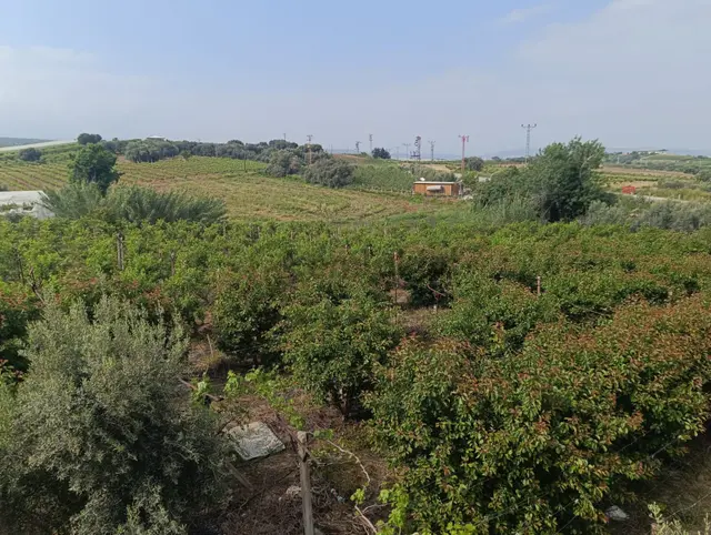 Fa Emlaktan Tarsus İbrişimde Satılık Yatırımlık Ve Verimli Bahçe 3