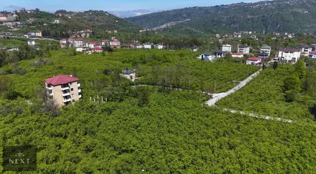 Gölçayırda Ev Yapımına Uygun Düz Arsa 5