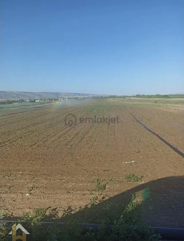 Hatice Kara'dn Sakintepe Mah.de Satılık Tarla Hatice Kara'dn Sakintepe Mah.de Satılık Tarla