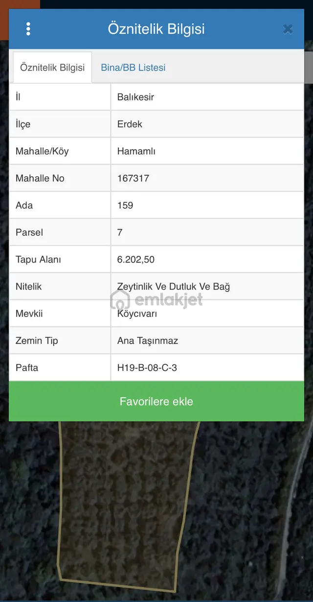 Erdek, Hamamlı Da 6.2 Dönüm, Orman Ve Deniz Manzaralı Satılık Zeytinlik, Bağ, Bahçe 3