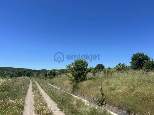 Altıeylül Taşköy Mahallesinde Satılık Hobi Bahçesi 2