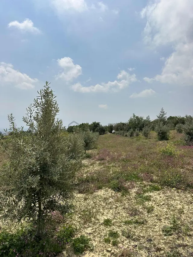 Aziz Emlak'tan Resul Da Satılık 7 Dönüm Full Mersin Manzaralı