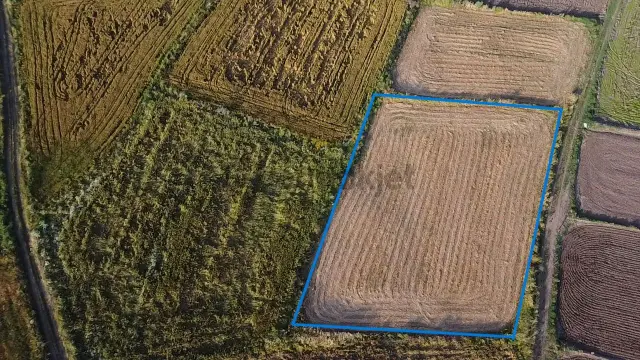 Biga Güleç Köyde 2553 M2 Kadastrol Yola Cepheli Satılık Tarla 4