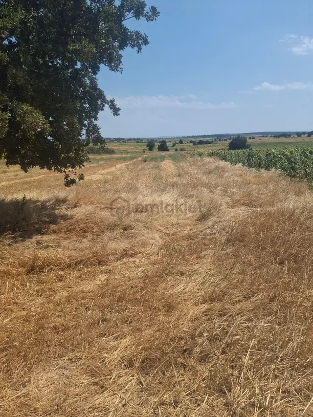 Edirne Enez Büyükevren De Satılık Tarla Denize 7 Dk Köye 5 Dk Mesafede 3