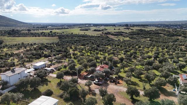 Didim Akyeniköy Kardelen De 20/40 İmarlı 300 M2 Satılık Arsa 5