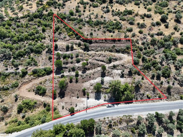 Milas Kayabaşı'nda Asfalt Yola Sıfır 4477m² Müstakil Zeytinlik Milas Kayabaşı'nda Asfalt Yola Sıfır 4477m² Müstakil Zeytinlik