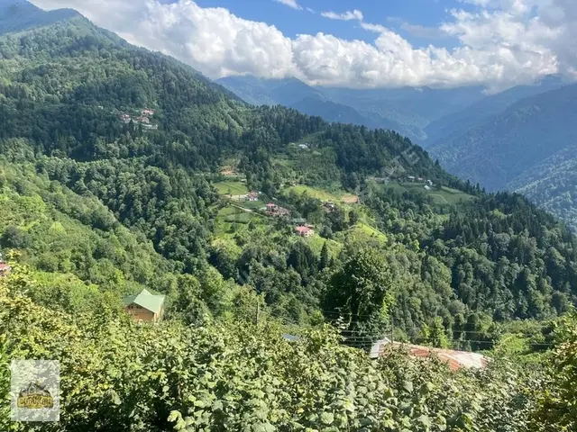 Artvin Borçka'da Yatırıma Ve Yaşama Uygun Fırsat Arsa / Arazi 1