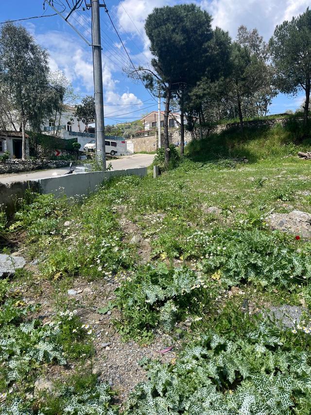 Acarlar Emlaktan Ocaklı 'da 716 M2 Villa İmarlı Satılık Arsa 4