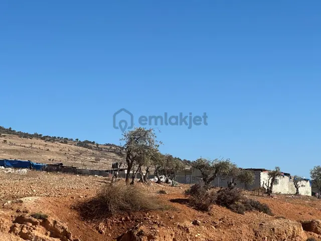Uyaran 79 Gayrimenkulden Mücahitler Mh İmara Yakın A 3 Yer 3