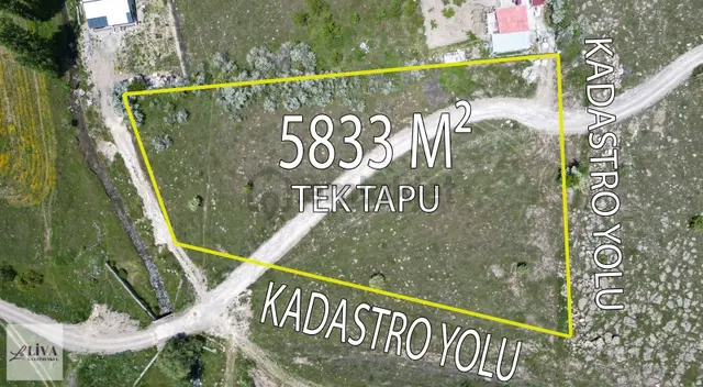 Liva'dan Reşadiye'de 5833 M² Tek Tapu Bağ Liva'dan Reşadiye'de 5833 M² Tek Tapu Bağ