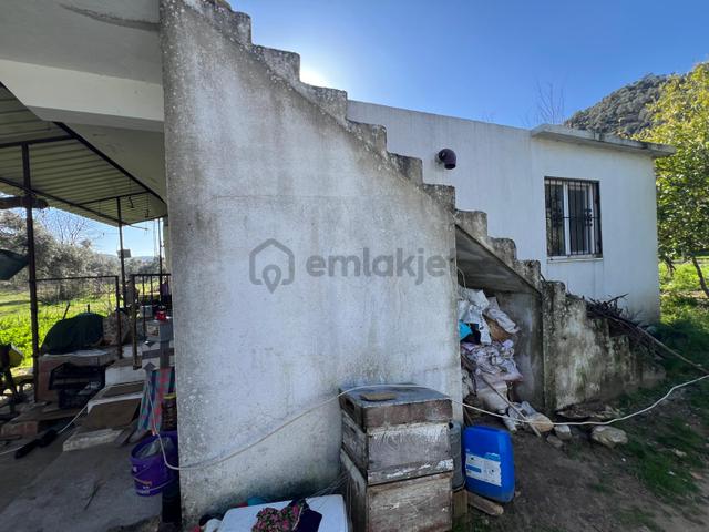 Milas Kandak'ta Doğa İçinde 1.641m² Zeytinlikli Müstakil Ev! 5