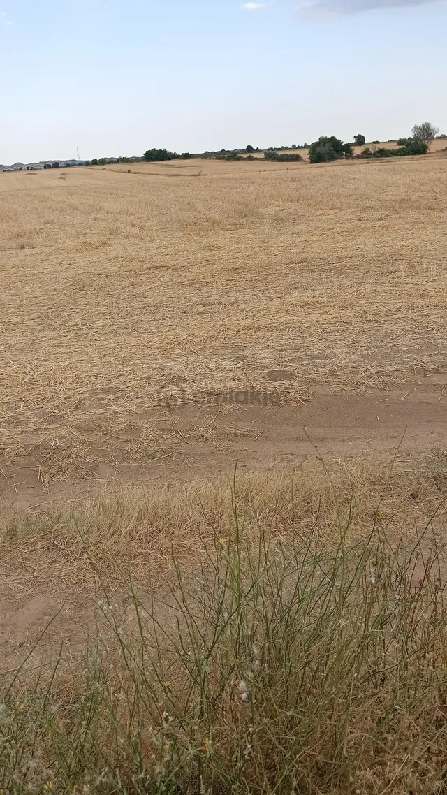 Kırklareli Merkez Kayalı'da 9.350 M² Satılık Tek Tapu Arsa 3