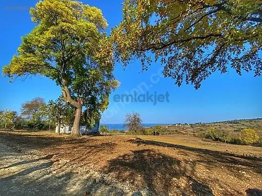 Sahibinden Sahibinden İmarlı Altyapılı Deniz Manzaralı Arsa Pazarlık Payı Vardır 3
