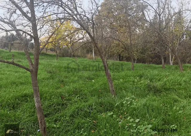 Kocaeli Karamürsel Çamdibi Bozkurt Mahallesi İmarlı Satılık Arsa 2