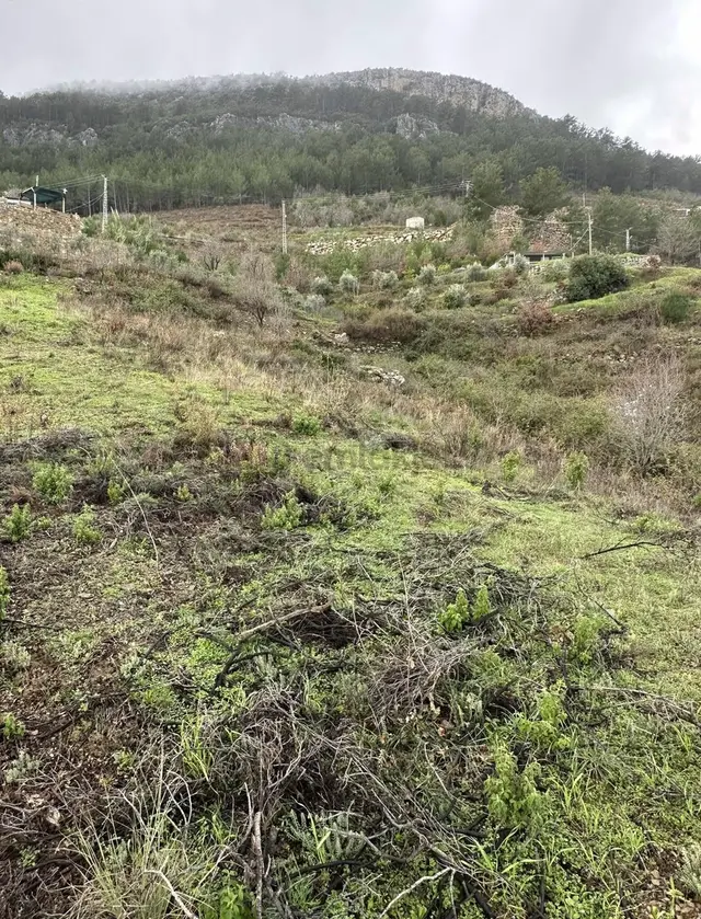 Alanya Fakırcalı Mah Sahibinden Satılık Uygun Tarla 3