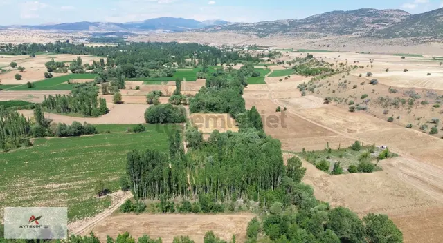 Beyşehir Yenidoğan Yenice Mhnde Dereye Cepheli 452 M² Tarla 4