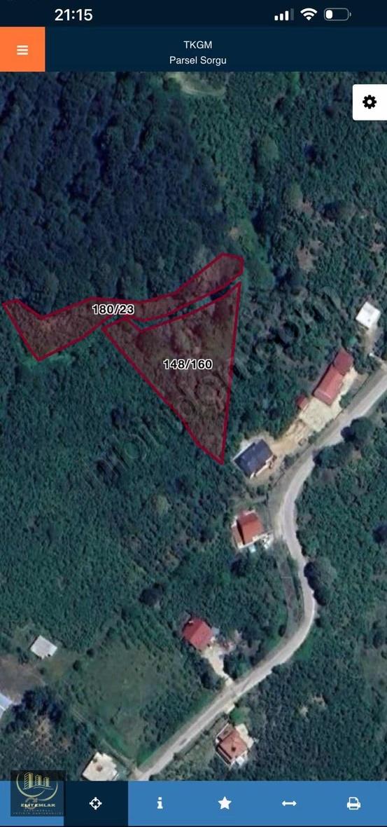 Sakarya Karapürçekte Fındık Bahçesi Acil Satılık 5
