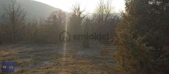 Kocaeli Derince'de Satlık 421 M Tarla Resmi Yol 11 Metre Cephe 2