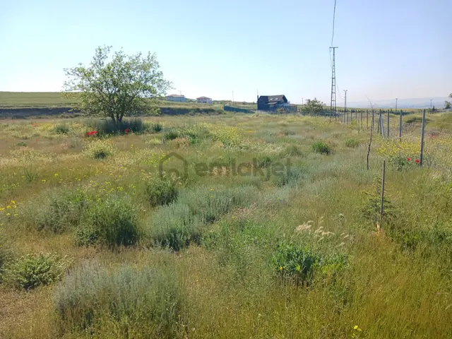 Eskişehir Tepebaşı Kozkayı’da Satılık Tarla / 3 Adet Ev / Büyükbaş Hayvan Ahırı 4