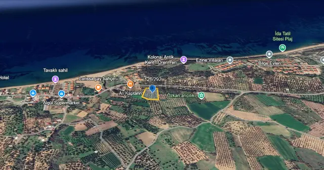 Çanakkale Alemşah Satılık 5000 M2 Zeytinlik 3