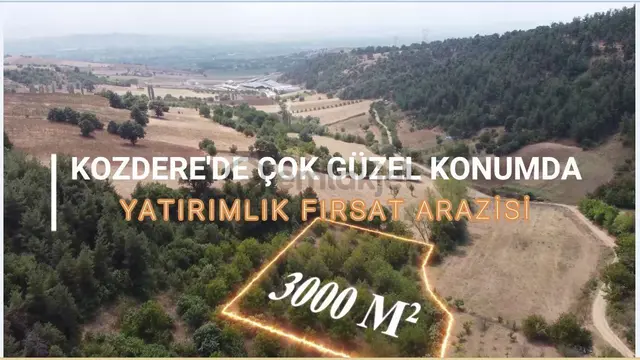 Master Realtor Nilvest'ten Kozdere'de Yetişkin Ceviz Bahçesi 2