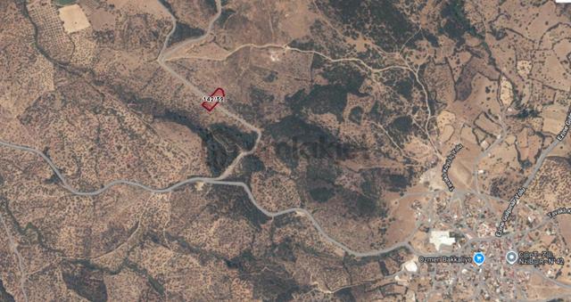 Çanakkale Ezine Tavaklı Satılık 2975 M2 Zeytinlik 4