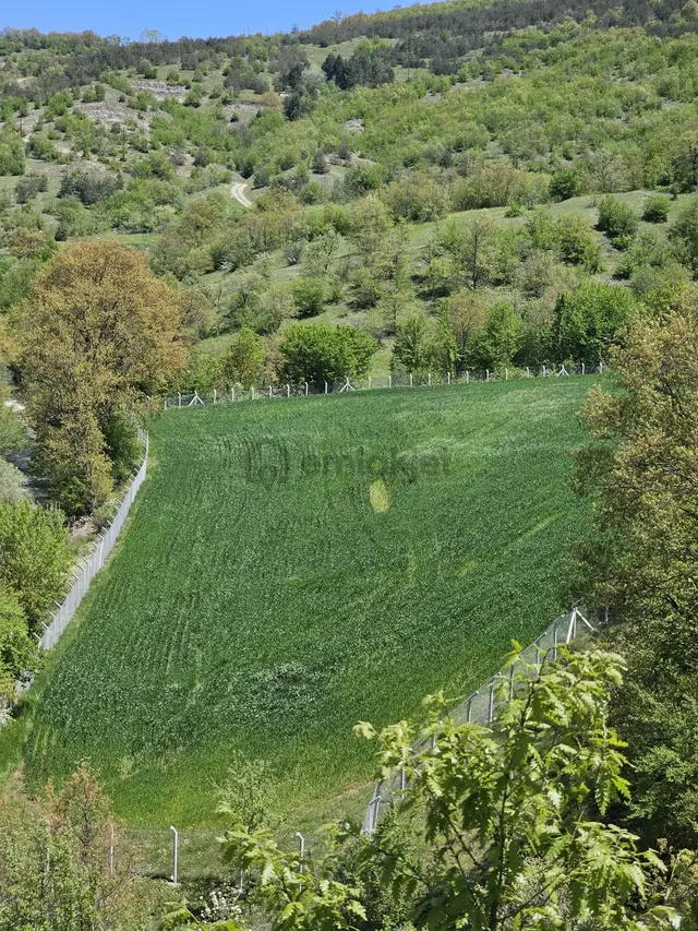 Kavak Göçebe De Divanbaşı Göletine Yakın Satılık Arazi Kavak Göçebe De Divanbaşı Göletine Yakın Satılık Arazi