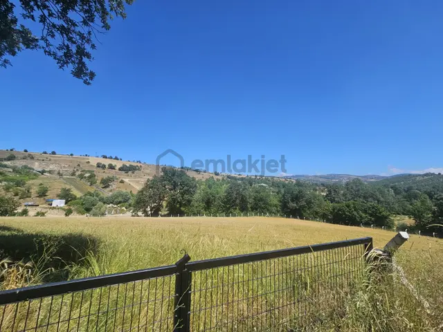 Kavak Göçebe De Divanbaşı Göletine Yakın Satılık Arazi 3