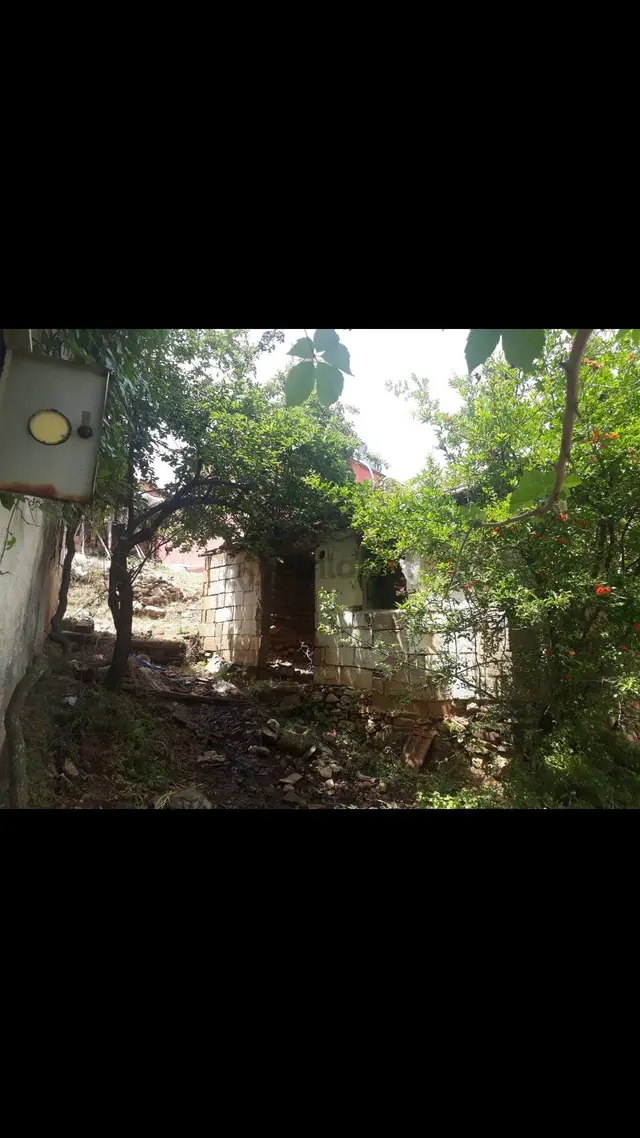 Kemalpaşa Bağyurdunda Tek Tapu Müstakıl Bahçe 4