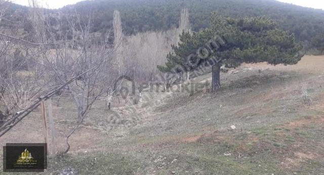 Kestel De Gölete Sıfır 5040 M2 Satılık Kargir Ev Ve Bahçesi 2