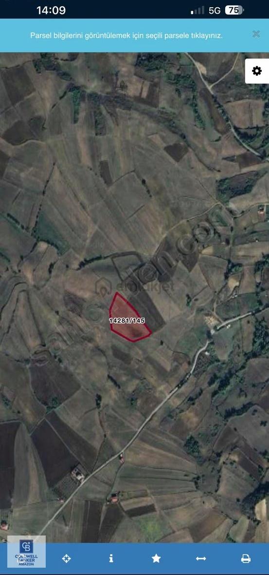 Cb.amazon İlkadım Uzgur Mahallesinde Yatırımlık Tarla Hissesi 2