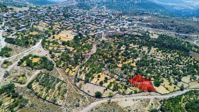 Yunusemre Dağyenice Mahallesinde Satılık Tarlalar 5