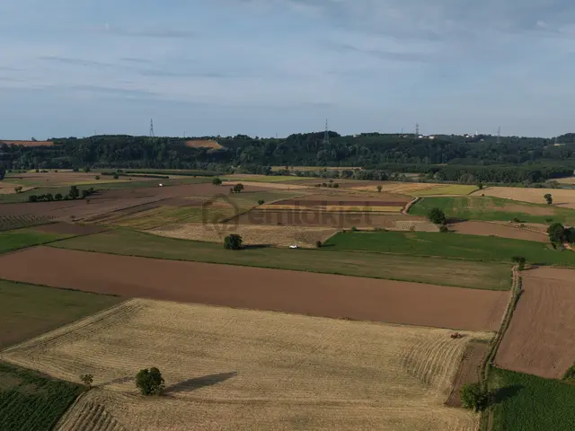 Karasu'da Nehire & Limana Yakın Tarıma Uygun 18.436 M² Tarla 2