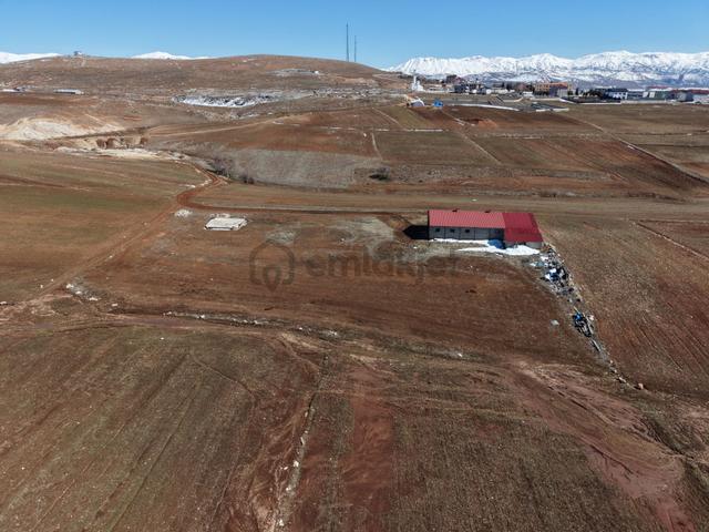 Tufanbeyli Cumhuriyet Mahallesinde 5000m² Alanda Hazır İşe Başlamalık Ahır 4