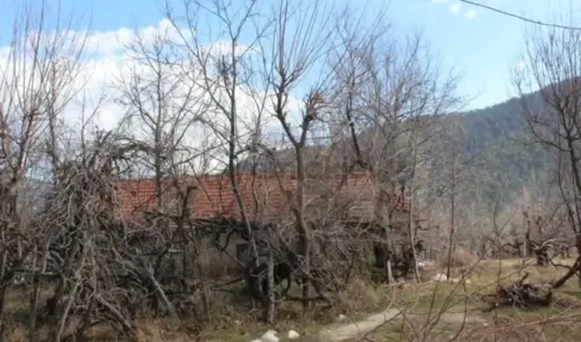 Satılık Kaş Sütleğen’de Müstakil Tapulu 1.100 M² Tarla+müstakil Ev 3