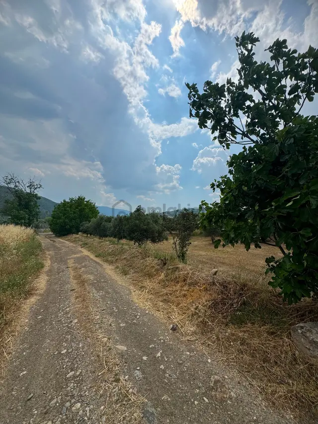 Bozüyük Ovasında Kadastrol Yolu Olan Satılık Tarla 4