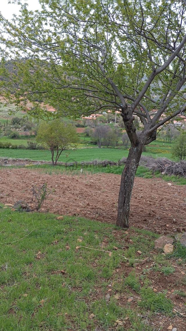 Burdur Yeşilova İğdir'de Yatırım Fırsatı! Tüm Altyapısı Hazır 500 M² Satılık Arsa 4