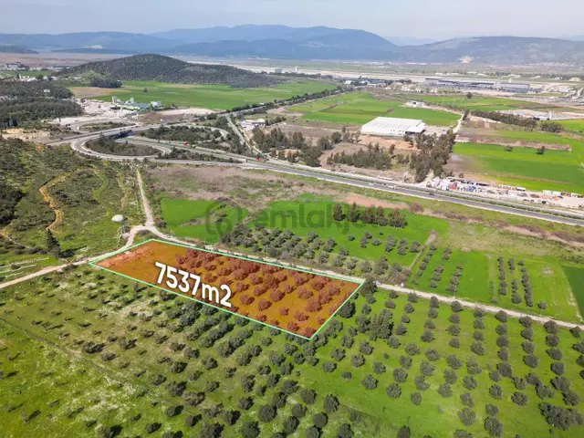 Satılık Bodrum Güllük Kavşağı Yakını Tarla 3