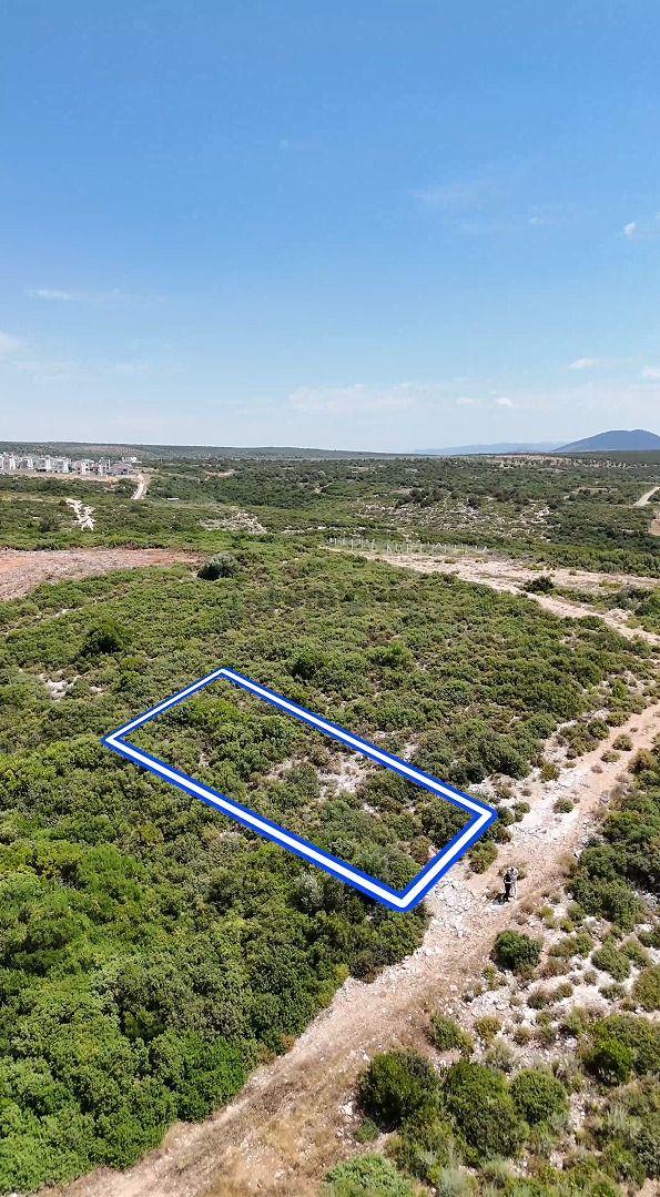 Didim Akyeniköy Bozseki 300 M2 Satılık Su Elektirik Mevcut 5