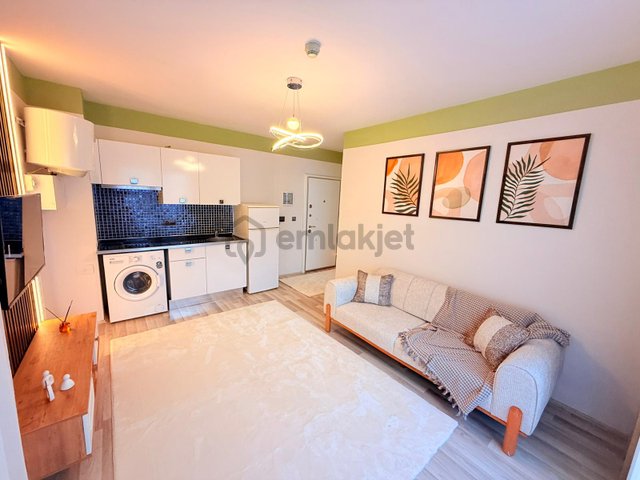 Zeytinköy Mahallesinde Arakat Balkonlu Eşyalı 1+1 Kiralık Apart Zeytinköy Mahallesinde Arakat Balkonlu Eşyalı 1+1 Kiralık Apart