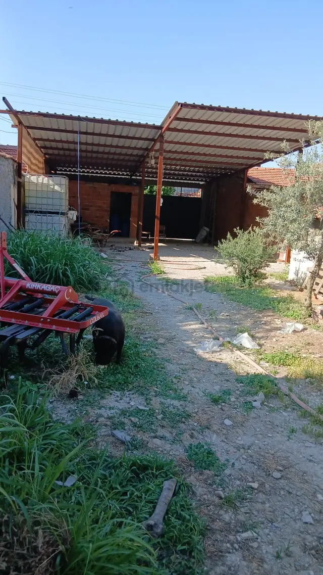 Manisa Kırkağaç Bakır Mah/köy De Satılık Müstakil Bahçeli Ev Ve Arsası 4