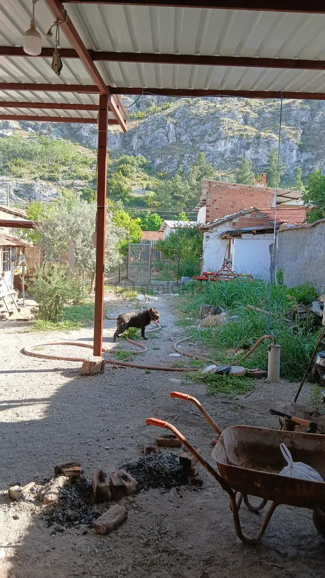 Manisa Kırkağaç Bakır Mah/köy De Satılık Müstakil Bahçeli Ev Ve Arsası 5