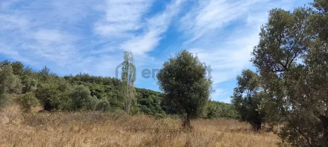 Kuşadası Ege Mah, Full Denız, Imarlı 860m2 Satılık Arsa 3