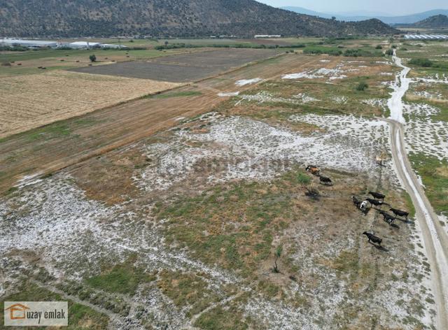 Milas Savran Mahallesi'nde Satılık 15.000 M² Tarla 5