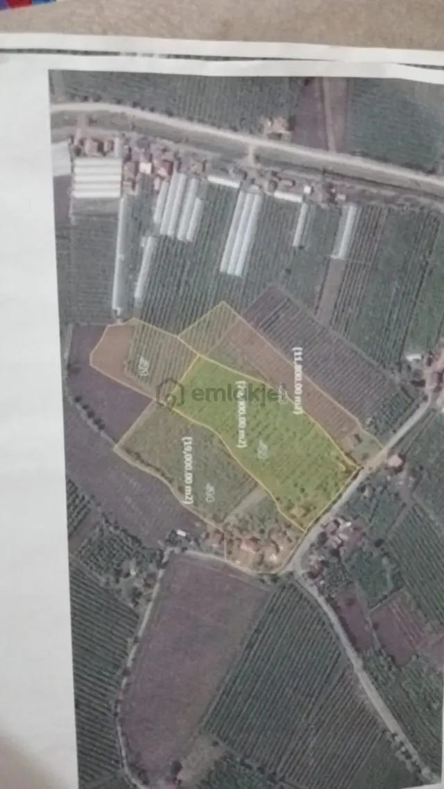 Çarşamba Karamustafalı'da Satılık 3469 M² Tarla 2