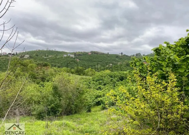 Satılık Yatırımlık Takaslı Arazi 3