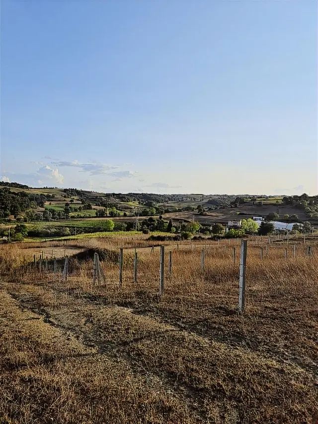 Kaynarca,kertil,arsa,bungalov Ev 500 M2 3