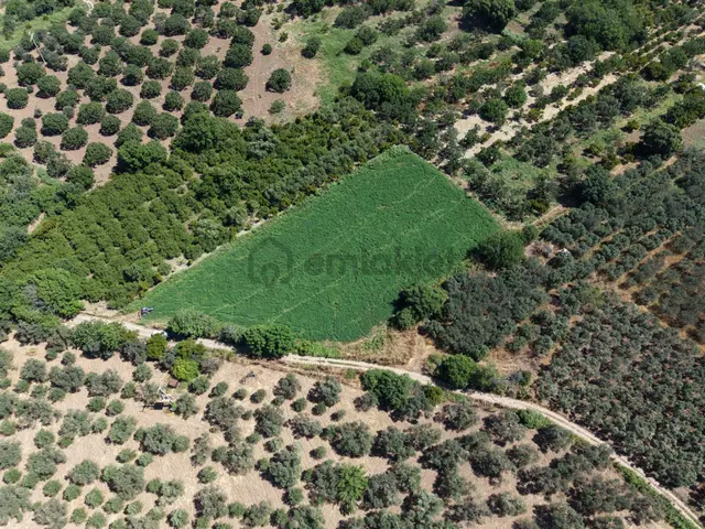 ▀▄mera Emlaktan Havran Tekke Mah. Doğayla İç İçe 4.948m2 Tarla 3