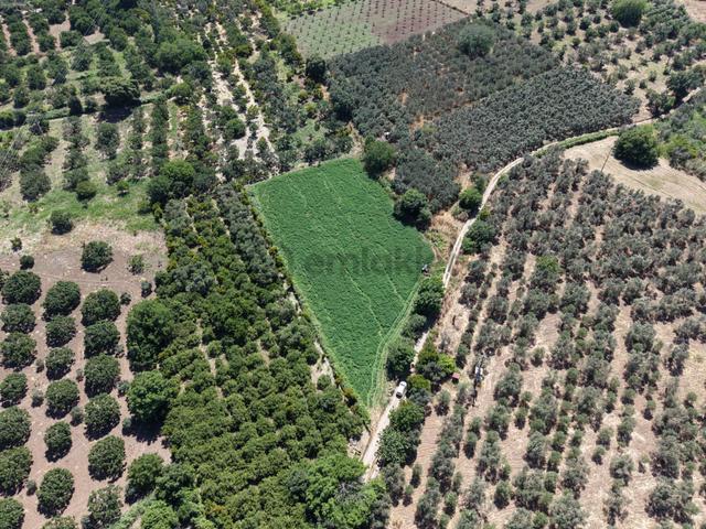 ▀▄mera Emlaktan Havran Tekke Mah. Doğayla İç İçe 4.948m2 Tarla 5